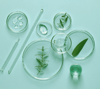 Photograph of various clear glass laboratory items on a light blue-green background. Several petri dishes contain water droplets, a clear gel, a single green leaf, and two different green plant sprigs. Two glass stirring rods and a small, round, green translucent object are also visible.